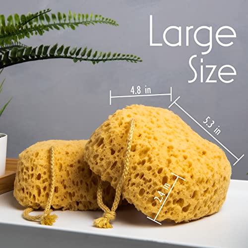myHomeBody Foam Loofah Sponge, 2 Pack Large Size
