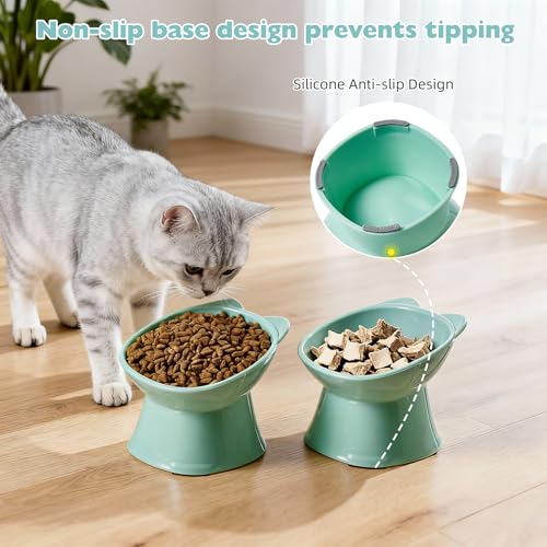 KSIA Klear Elevated Cat Bowls 2 Pack Green - Tilted 15° Raised Food & Water Bowls