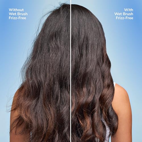 Wet Brush Frizz-Free Detangler Brush with Ionic Technology - Black