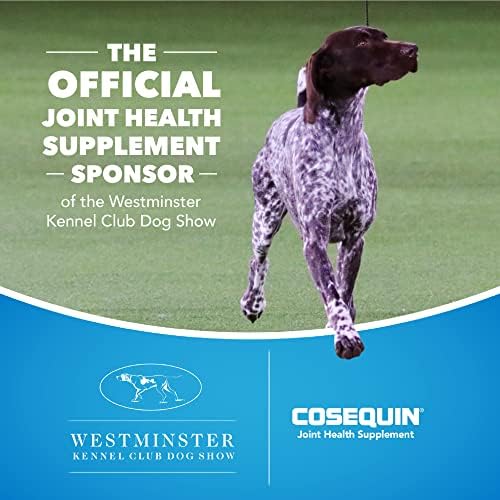 Nutramax Laboratories Cosequin Maximum Strength Joint Health Supplement for Dogs - With Glucosamine, Chondroitin, and MSM, 60 Chewable Tablets