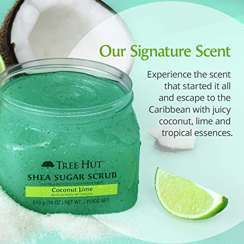 Tree Hut Shea Sugar Scrub, Coconut Lime, 18 Ounce (Pack of 3)