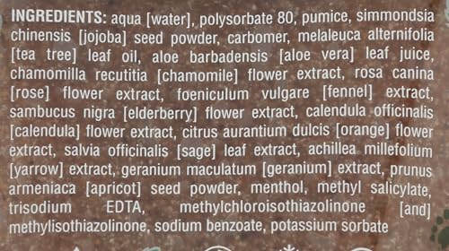 Earth Therapeutics Exfoliating Refreshing Foot Scrub - 4 oz (Pack of 4)
