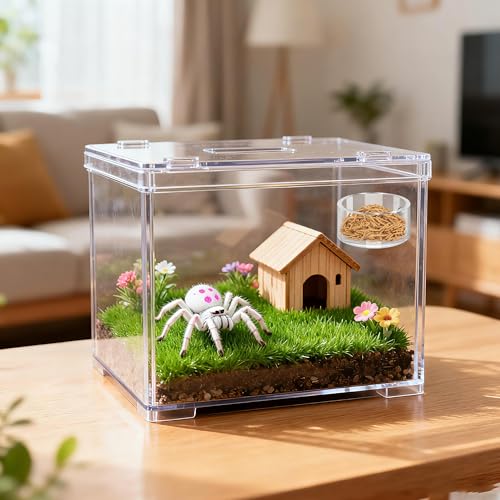 Jumping Spider Feeding Dish Set with Magnetic Water Bowl – 6 PCS