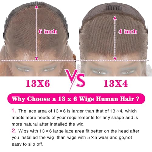 Reddish Brown 13x6 HD Lace Front Wig Human Hair 22in