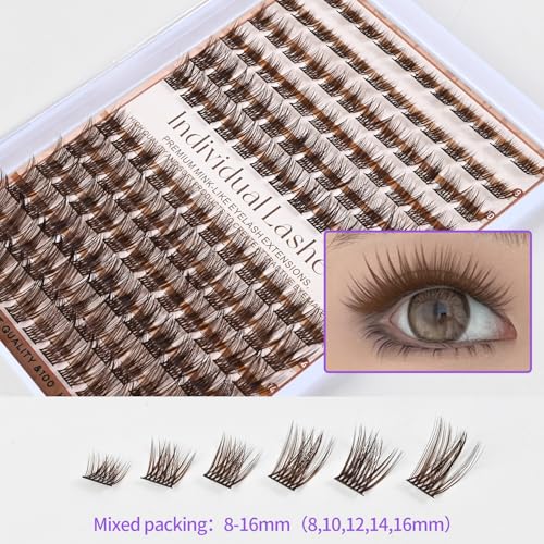 Brown Lash Clusters 144pc 8-16mm DIY Extensions