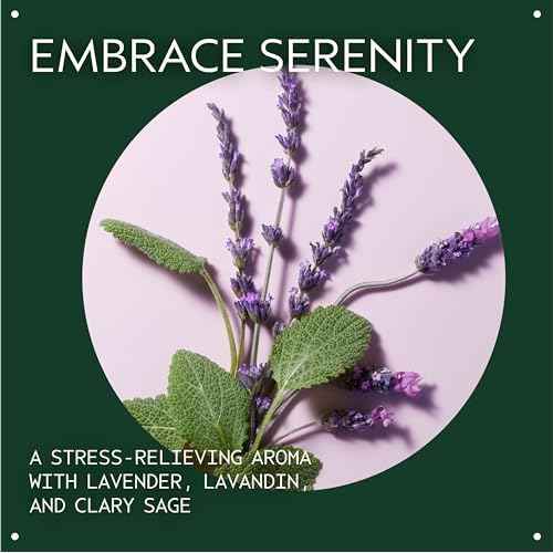 Aveda Stress-Fix Soaking Salts | Stress-Relieving Bath Salts | with Aroma of Lavender, Lavandin, Clary Sage, 16 Ounce