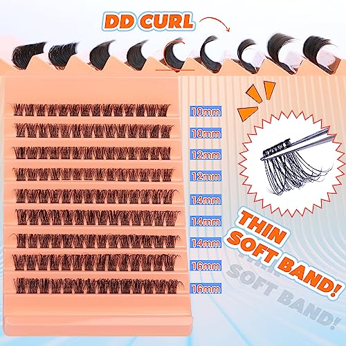 DD Curl Lash Clusters 10-16mm Wispy Eyelash Extensions