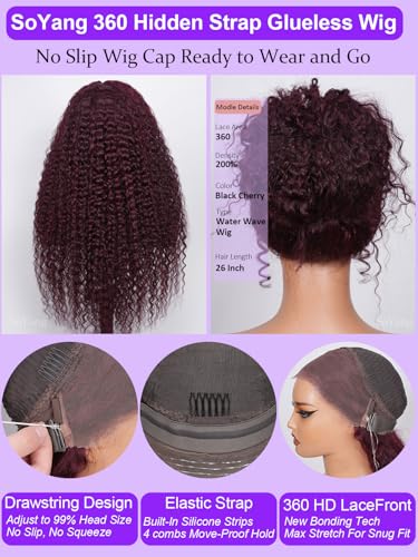 Black Cherry 360 Glueless Wig Human Hair 22 Inch Water Wave