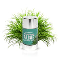 Urban Hydration Sea Acne Gone Algae Oil Free Face Mask Stick | Helps with Acne, Reduces Redness and Inflammation For All Skin Types | 1.7 Fl Ounces
