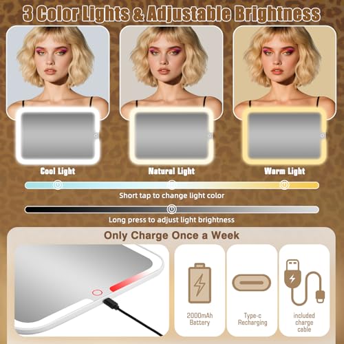 15x11 Large Makeup Bag with Lighted Mirror & Brush Storage