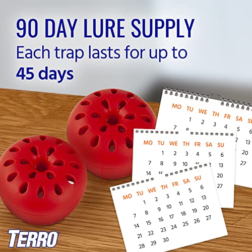 TERRO T2512 Ready-to-Use Indoor Fruit Fly Killer and Trap with Built in Window - 12 Traps + 540 day Lure Supply