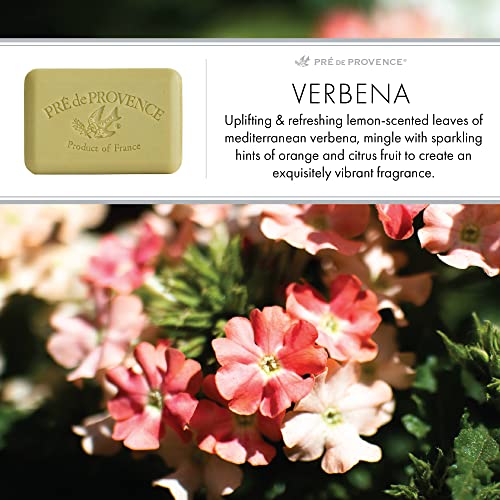 Pre de Provence Artisanal French Moisturizing Soap Bar, Shea Butter Enriched, Quad Milled for Long Lasting Rich Smooth Lather, 5.3 Ounce, Verbena