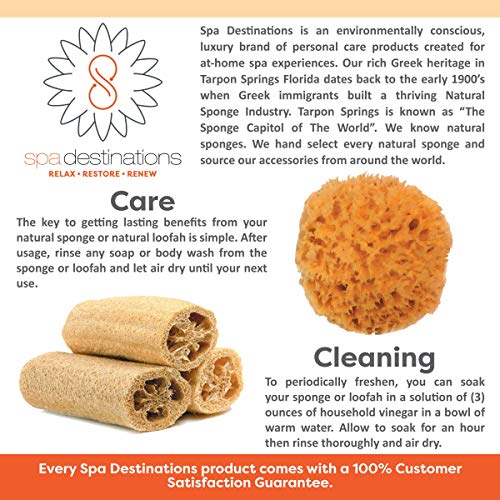 Natural Sea Sponge Small 4-5" by Spa Destinations¢çCreating The Perfect Bath and Shower Experience Amazing Natural Renewable Resource!