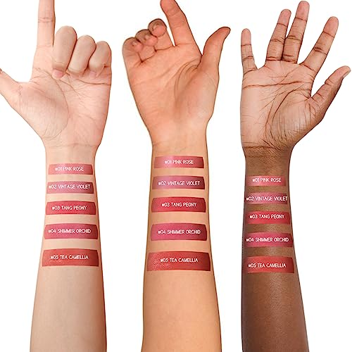 bayfree Tinted Lip Balm Plumper, Glossy, Pump Lips, Lightweight, Moisturize & Tint with Jojoba Seed Oil, Vegan Lipbalm Lip Care, Vintage Violet