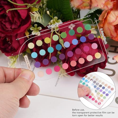 Zynoro True Autumn 12-Season Color Analysis Cards Set for Outfits & Makeup
