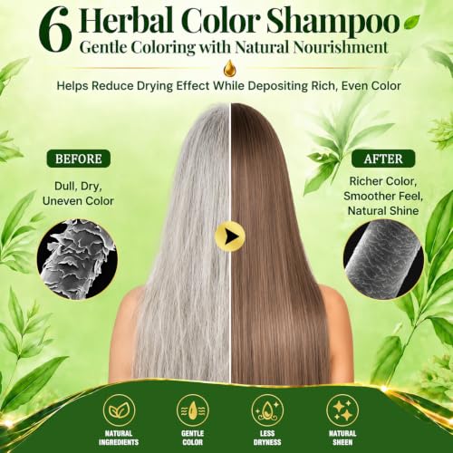 Brown Hair Dye Shampoo 3-in-1 Hair Color for Gray Coverage - HIS&HERCHOICE