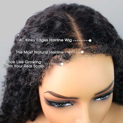 FACMOOD 16 Inch 4C Kinky Curly Human Hair Wig 180% Density HD Lace Front Pre-Plucked & Glueless