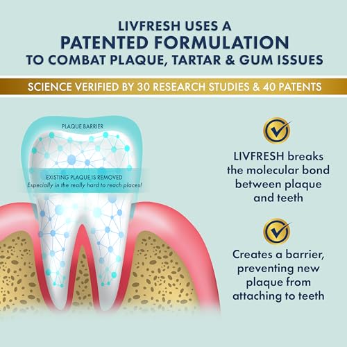 LIVFRESH Plaque & Gum Health Dental Gel Toothpaste - Wintergreen, SLS-Free