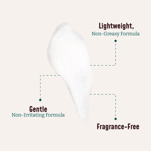 BLOOM IT'S A GREAT SKIN DAY! Collagen Lotion Skin Care Firming Body Cream, Intensive Anti Aging Moisturizer Face Lotion with Aloe Vera For Wrinkles, Sagging Skin, Dry Skin, Fragrance Free, Pack of 2