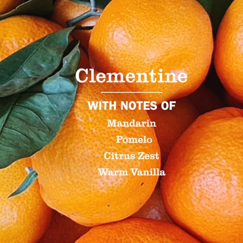 Mrs. Meyer’s Clementine Liquid Hand Soap - 12.5 fl oz, 3 Pack | Gentle, Moisturizing & Garden-Inspired