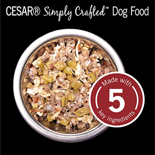 Cesar Wet Dog Food Simply Crafted Adult Wet Dog Food Cuisine Complement, Chicken, 1.3 Oz. Tub