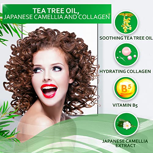 Tea Tree Shampoo & Conditioner Set | Australian Oil, Sulfate Free