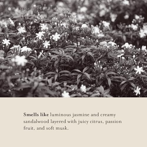 A La Maison Amber Jasmine & Santal Starter Kit - Shower Oil + Body Scrub ? Gently Exfoliates & Softens Skin ? French Formula, Plant-Based