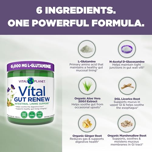 Vital Gut Renew Leaky Gut Powder - L-Glutamine 6000mg
