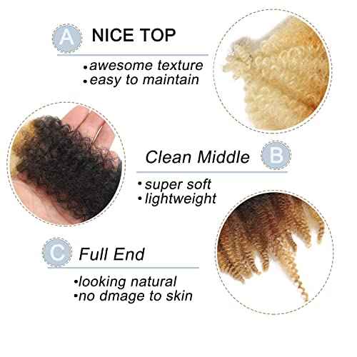 Parceria 30 Inch Springy Afro Twist Hair 8 Packs Marley Twist Braiding Hair Pre-fluffed Spring Twist Hair Kinky Hair Afro Twist Hair Marley Hair for Faux Locs (30 Inch (Pack of 8), T1B/27/613#)