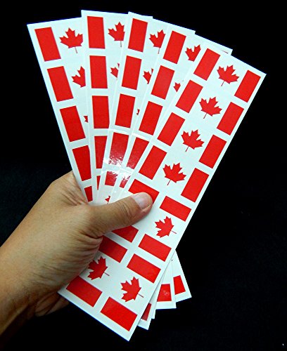 Canada Flag Temporary Tattoos (40-Pack) – Party Favors