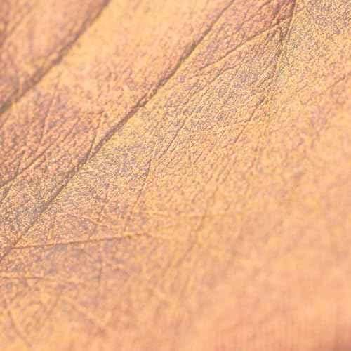 Flower Knows Midsummer Fairytales Liquid Highlighter(Multichrome),Highlighter Makeup,Pearlescent Face & Body Illuminator,Blendable & Long-lasting face Highlighter for All Skin Tones(03 Pixie Dream)