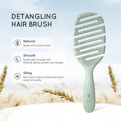 Detangler Hairbrush for Wet & Dry Hair | Gentle Bristles