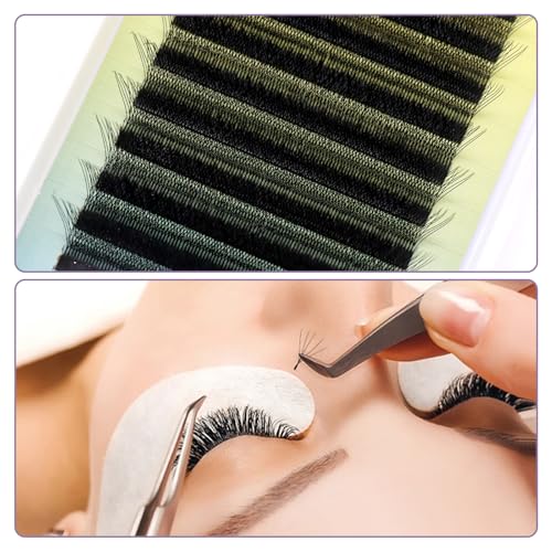 5D W Lash Extensions 0.07mm Premade Volume Fans D Curl 11mm