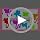 48pc Butterfly Party Favors - Sticky Hands & Tattoos Combo