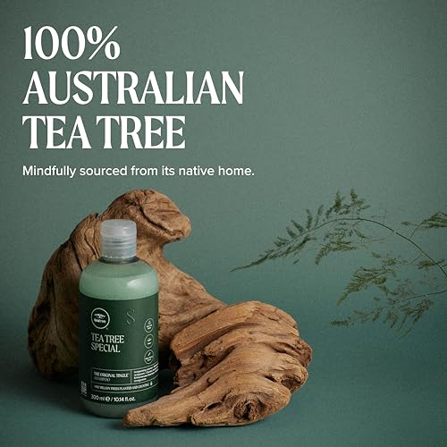 Tea Tree Shampoo for Oily Hair | Deep Cleansing Scalp Care