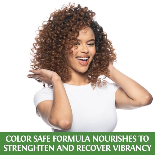 BioSilk Silk Therapy with Natural Coconut Oil Moisturizing Shampoo, Cleanses & Replenishes Moisture, Sulfate, Paraben & Cruelty-Free, 5.64 Oz