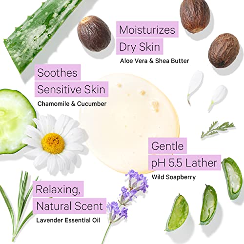 Tree To Tub Lavender Shea Butter Body Lotion for Dry Skin & Lavender Body Wash for Sensitive Skin and Dry Skin - Moisturizing Sensitive Skin Lotion & pH Balanced Moisturizing Body Wash for Women & Men