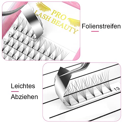6D Premade Volume Eyelash Extensions | C Curl 0.10 | 9-20mm