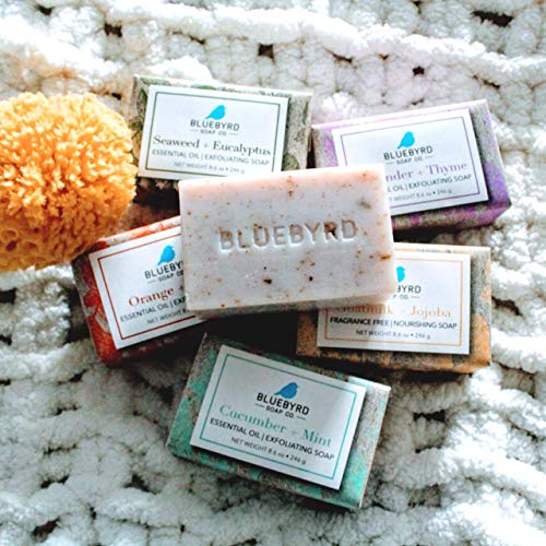 BLUEBYRD Soap Co. Lavender & Thyme Exfoliating Soap Bar, 100% Vegan Cold Press Large Soap Bars, Scented with Premium Essential Oils, Scrub Soap Bars for Men and Women, Exfoliate Body Naturally with