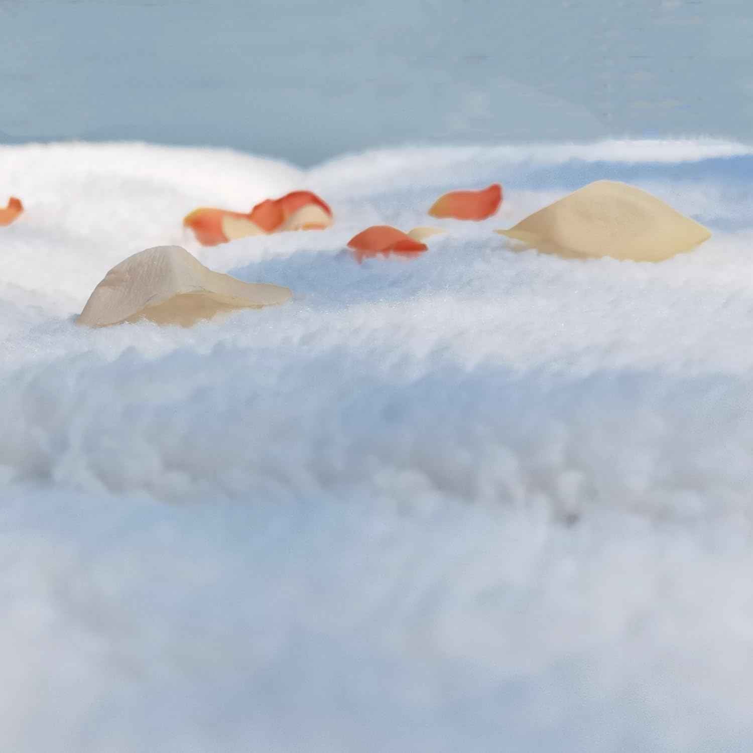 Fleece Massage Tables Cover Set 31"x72", Cozy Quilted Massage Bed Topper, Includes Pad & Face Cradle Cover, Natural, Hypoallergenic, Skin-friendly – Ideal for Spa, Physical Therapy, Home Massage