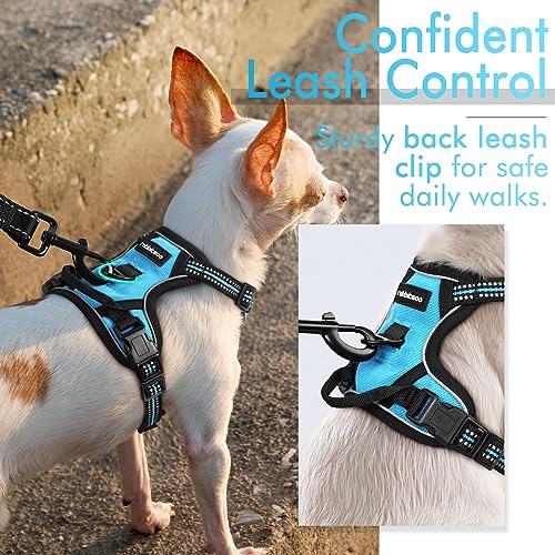 rabbitgoo Dog Harness, No-Pull Pet Harness with 2 Leash Clips, Adjustable Soft Padded Dog Vest, Reflective No-Choke Pet Oxford Vest with Easy Control Handle for Small Dogs, Blue, XS