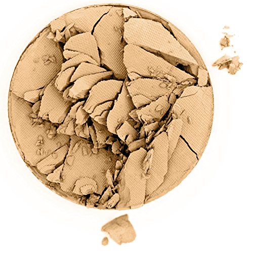 SHANY Two Way Compact Pressed Powder Foundation, Wet & Dry