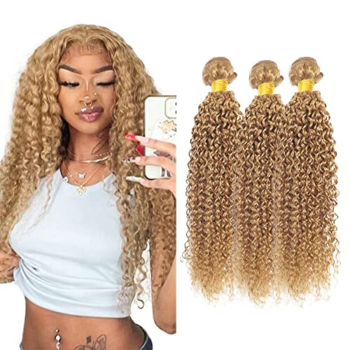 Honey Blonde Kinky Curly Hair Bundles - 330g, 3 Packs, 26-30 inch
