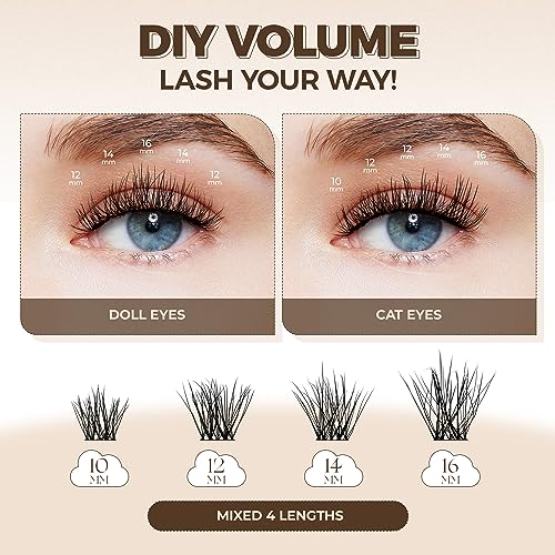 lashview diy lashes