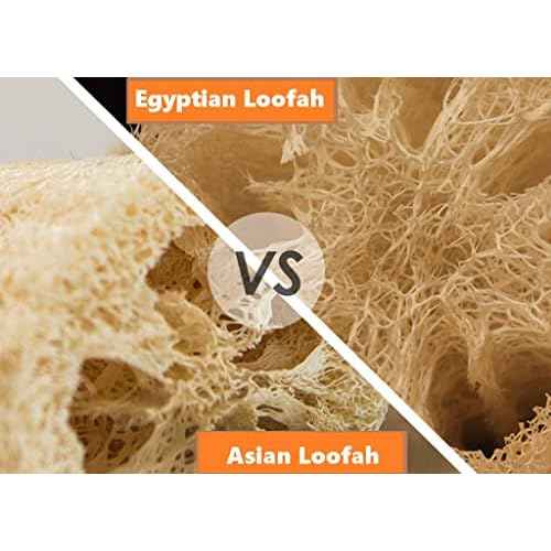 2 Natural Egyptian Loofahs Exfoliating Scrubber for Shower, Natural Loofah Sponge Body Scrubber, Deep Clean & Invigorate Your Skin, for Men and Women