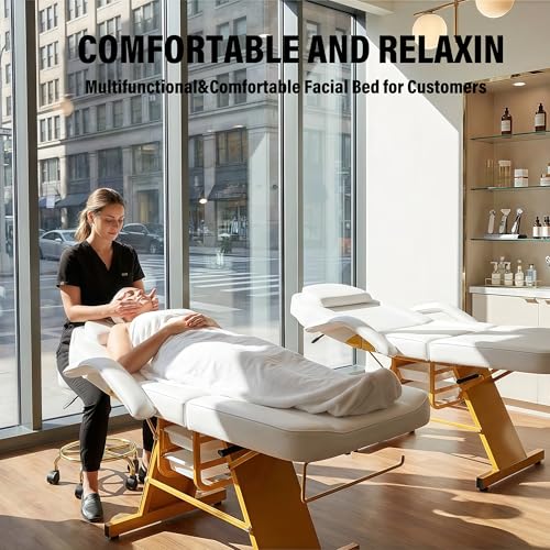 Tattoo Facial Chair Adjustable Backrest Armrests Esthetician Spa Bed