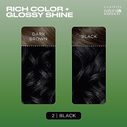 Clairol Natural Instincts Demi-Permanent Hair Dye 2 Black