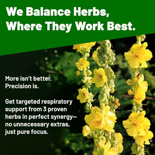 Mullein Drops for Lungs Unflavoured 4 fl oz – 120 Servings, Detox Formula