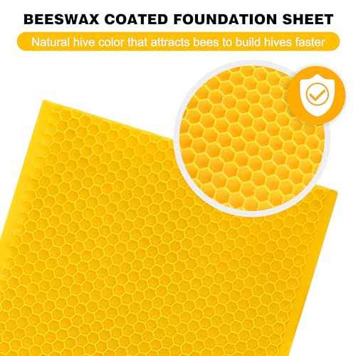 Beehive Waxed Coated Foundation Sheet,5-5/8-Inch Medium Beeswax Foundation Sheets,20 Pcs Plastic Bee Hive Foundation Sheet,Beehive Foundation Sheet Fit Medium Frame Beekeeping Supply