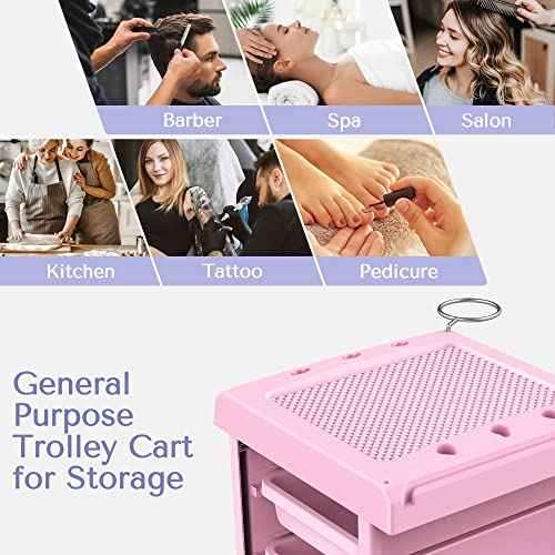 TASALON Salon Trolley - Space Saving Rolling Cart for Extra Storage - 6-Tray Multipurpose Salon Cart - Tattoo Tray - Pink